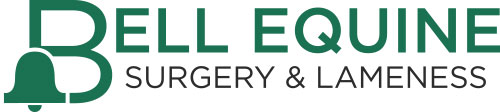 Bell Equine Surgery and Lameness